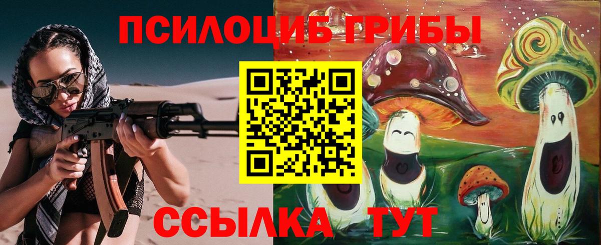 Новокубанск  Галлюциногенные грибы мицелий  Вход с VPN 
