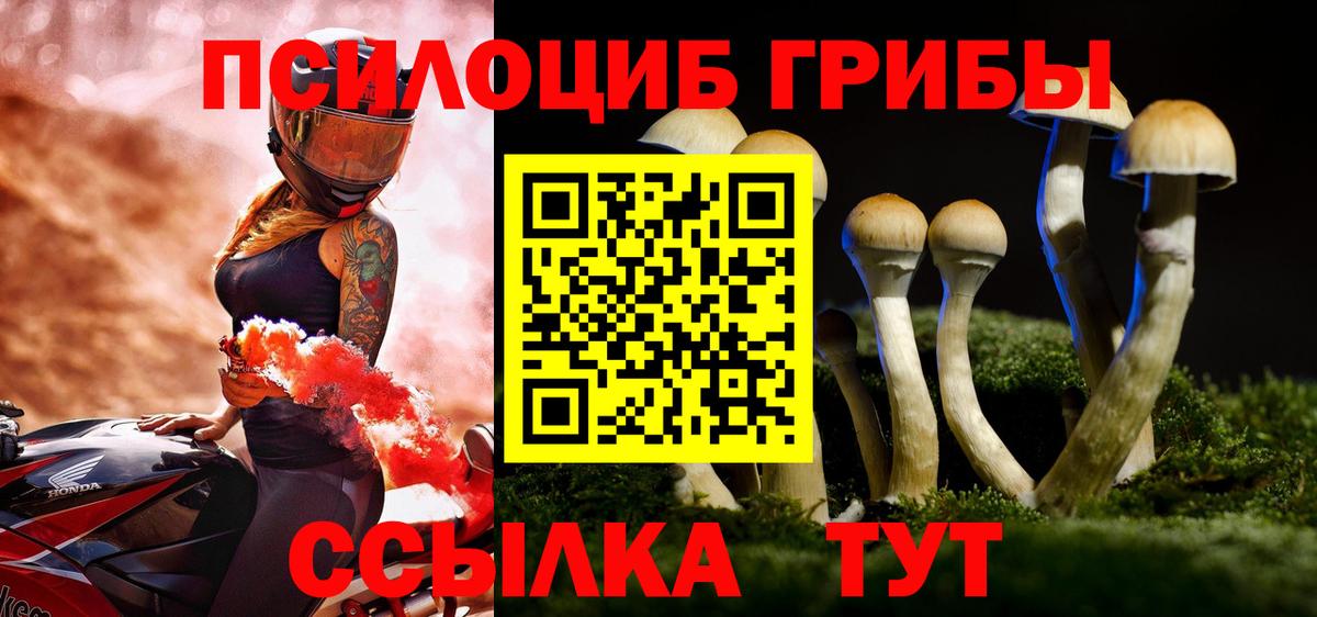 Галлюциногенные грибы GOLDEN TEACHER Новокубанск